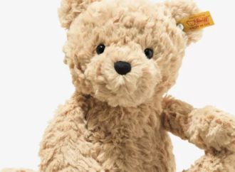 Teddy bear, nommé d’après le président Theodore Roosevelt